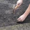 Slika Mreža za krtice 15 x 15 mm širina 2 m – prodaja na m²